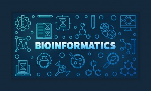 AMR and Bioinformatics